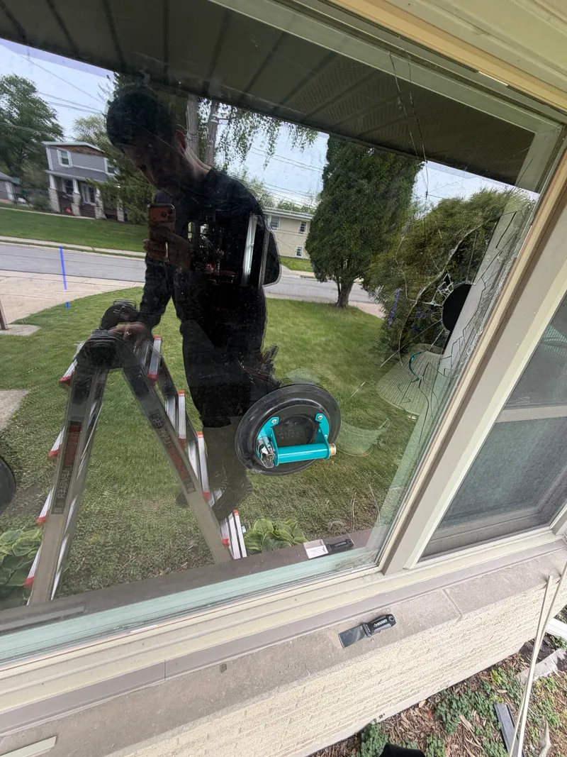 Suction cup on window
