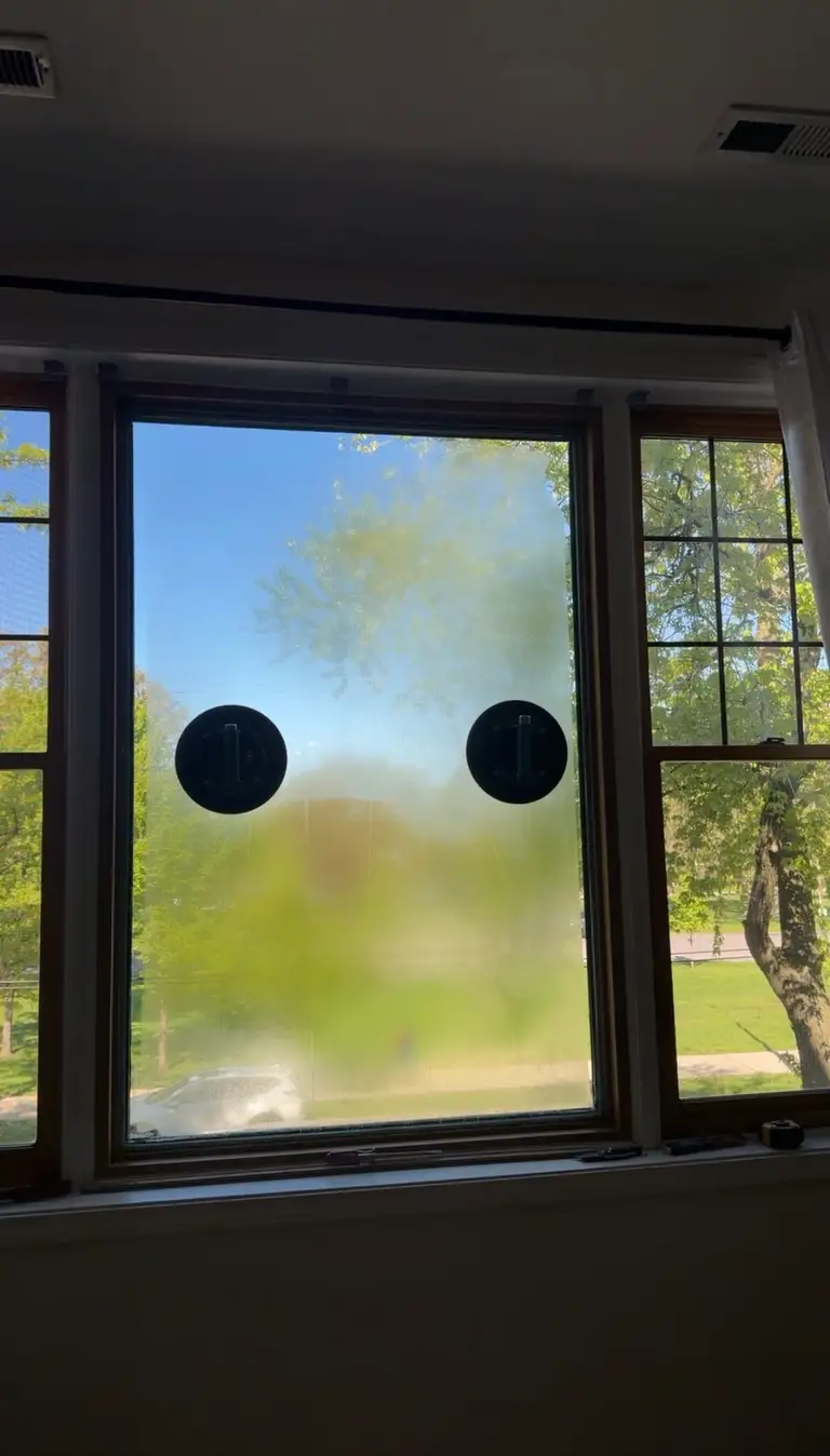 Suction cups on glass